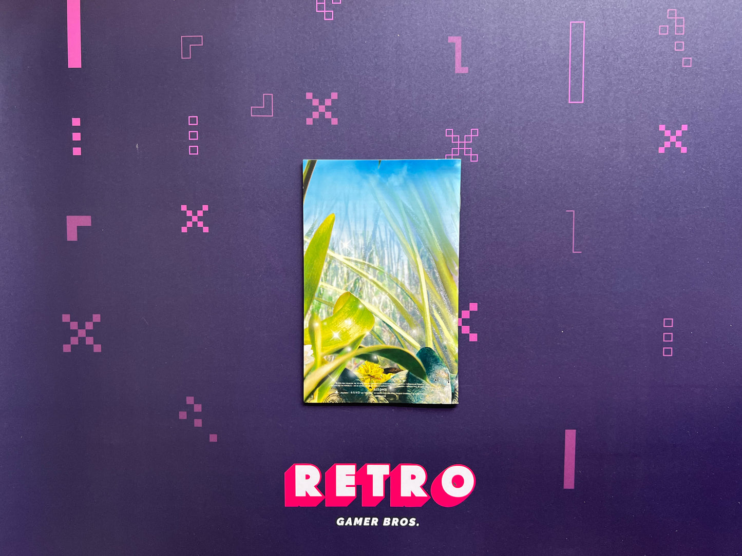 Arthur and the Invisibles - PS2 Game