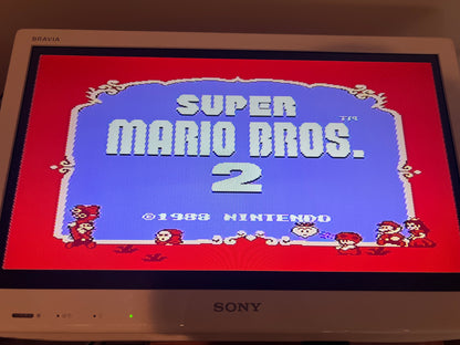 Super Mario Bros. 2 - NES Game