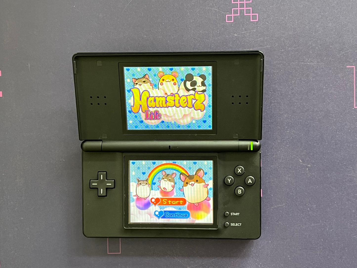 Hamsterz Life - Nintendo DS Game