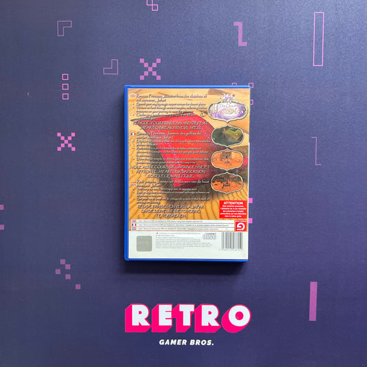 The Quest for Aladdin's Treasure - PS2 Game